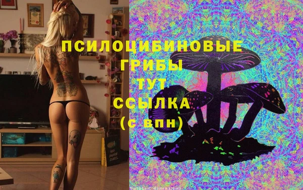 а пвп мука Балабаново